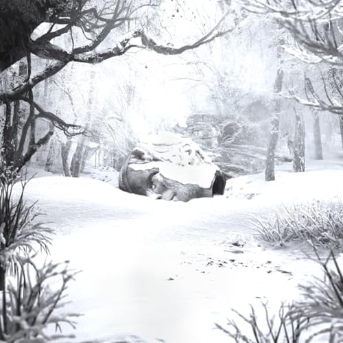 SZNZ: Winter [VINYL]