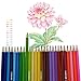 120 Oil Colored Pencils, Southsun Colored Pencils for Art Drawing, Sketching, Adult Coloring Books, Pre-sharpened, Fine Point Lead