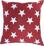 Decorative Printed Star Floral Throw Pillow Cover 18