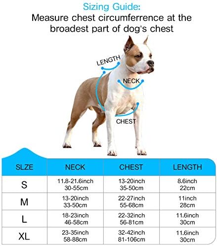 babyltrl no pull harness
