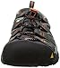KEEN Men's Newport H2 Closed Toe Water Sandals, Magnet/Nasturtium, 10.5
