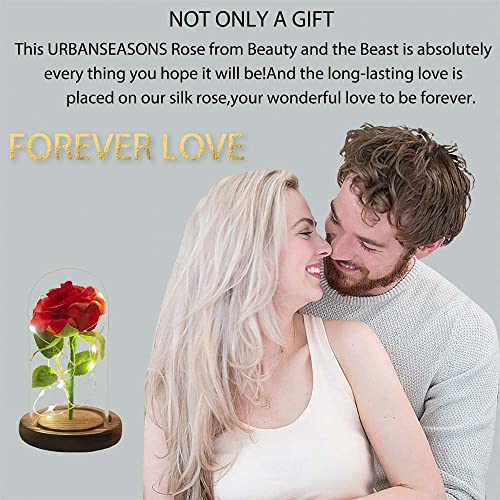 Christmas Rose Gift For Her Beauty And The Beast Rose Red Silk Rose That Lasts Forever In A Glass Dome With Led Lights Gift For Mothers Day Valentine S Day Wedding Anniversary Pricepulse
