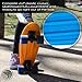 Flybar 22 Inch Kids Skateboard – Mini Cruiser Skateboards for Kids Ages 6-12, Outdoor Toys, Lightweight, Durable, Non-Slip Deck, ABEC-7 Bearings, Holds up to 175 lbs (Blue Orange)