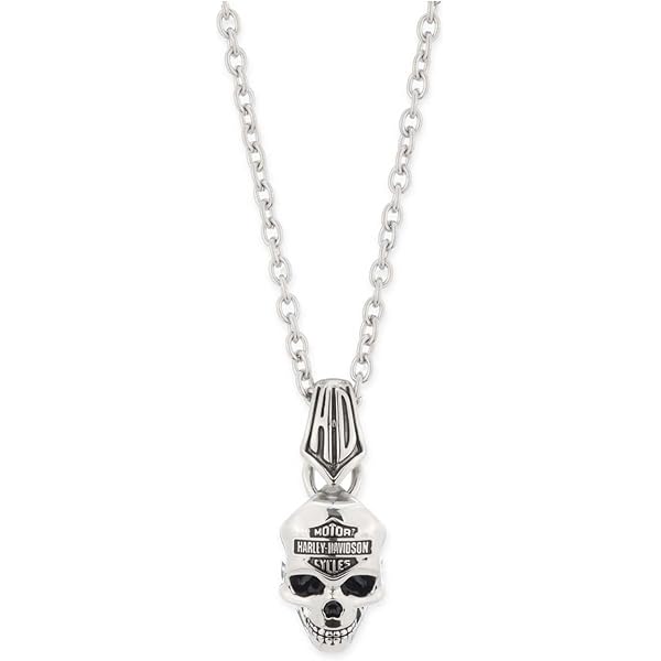 Harley-Davidson Men's Willie G Skull Necklace, Silver Stainless
