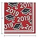 Red Class of 2019 Beverage Napkins, 108 ct