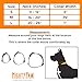 Mighty Paw Dog Collar - High Visibility - Reflective Stitching - Adjustable Dog Collar with Buckle - Durable Dog Collar - Premium Puppy Collar - Suitable for All Dog Sizes - Personalized Dog Collars