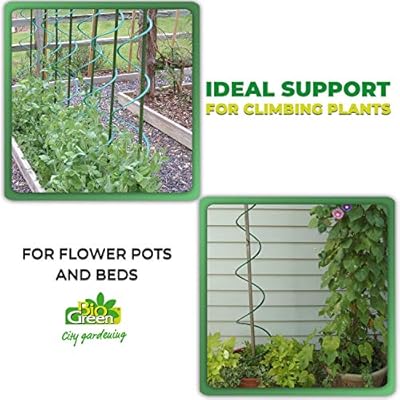 Bio Green Productos de Cultivo zarcillos, Negro: Amazon.es: Jardín