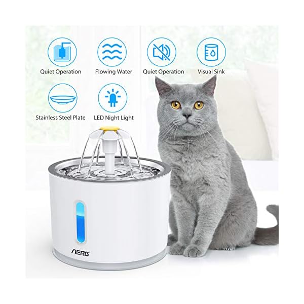 Aerb-Cat-Water-Fountain-Pet-Drinking-Fountain-Cat-Fountain-Ultra-Quiet-with-Night-light-and-3-Carbon-Filters-24L Aerb Cat Water Fountain, Pet Drinking Fountain: Cat Fountain Ultra-Quiet with Night light and 3 Carbon Filters, 2.4L