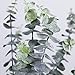 Geboor Pack of 3 Faux Eucalyptus Stem Artificial Eucalyptus Leaves Fake Eucalyptus Branches 30