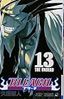 BLEACH -ブリーチ- 第13巻