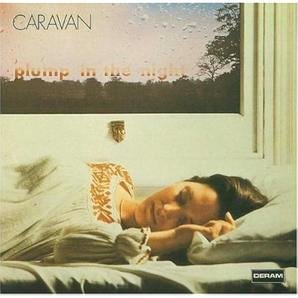 Amazon.com: For Girls Who Grow Plump In The Night: CDs & Vinyl