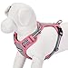 Blueberry Pet 9 Colors Soft & Comfy 3M Reflective Multi-Colored Stripe Mesh Padded No Pull Dog Harness Vest with Back Leash Clips, Large, Pink, Emerald & Orchid
