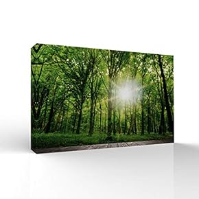 Canvas Wall Art-Sunshine in The Forest -Canvas Prints Home Artwork Decoration for Living Room,Bedroom - 12x18 inches