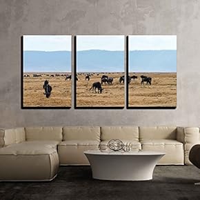 Big Herd of Wildebeests Grazing in Serengeti National...