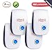 Key finder pest