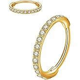 chenle Clear CZ Nose Rings Hoop 316L Surgical Steel Cartilage Earrings Conch Daith Helix Rook Tragus Lobe Snug Body Piercing Jewelry 16G Stainless Steel Hinged Segment Rings Lip Rings