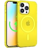 Amazon.com: FELONY CASE - Apple iPhone 15 Pro Max Case