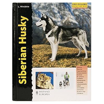 Siberian Husky (Excellence)