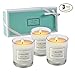 LA BELLEFÉE Scented Candles Gifts for Mothers Day, Natural Soy Candles for Home Scented, Votive Candles Gifts for Women Christmas Gifts Christmas Decoration, Fragrances of Rose, Vanilla, Jasmine