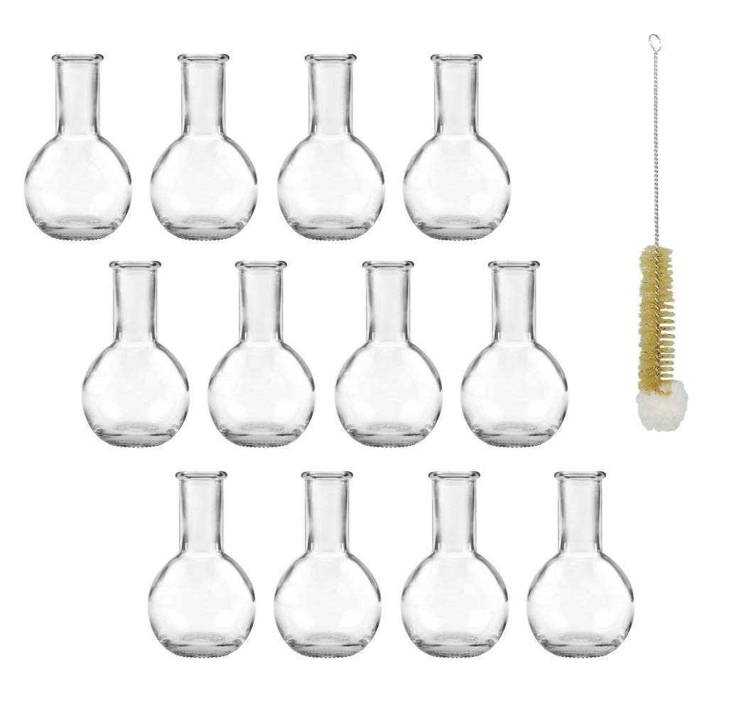 mikken 12 x Small Bottle Vases, Glass Vases, 10 cm with Bottle Brush, Transparent 10.2 cm
