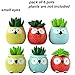 Everyday Better Life 6 PCS Set Cute Animal Owl Shaped Cartoon Home Garden Decoration Succulent Cactus Flower Pot/Plant Pots/Planter/Container