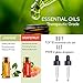 YIDIOLA Top 10 Essential Oils Set, 100% Pure Lavender,Peppermint,Eucalyptus,Tea Tree,Rosemary,Lemongrass,Sweet Orange,Sandalwood,Jasmine,Grapefruit Oils, w/2 Glass Droppers