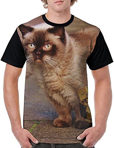 Boys Short Sleeved Tshirt Kitten Danbo