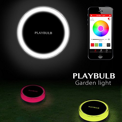mipow playbulb alexa