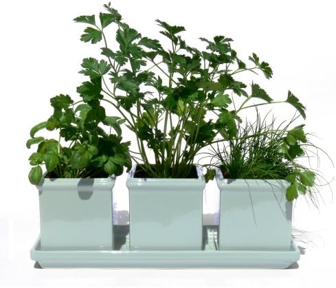 Plant Furniture 3001 Planter and Tray Set, Icy Blue