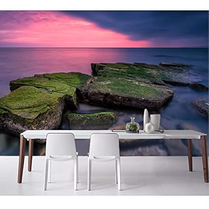 Pmhhc Murale Mare Albe E Tramonti Pietre Moss Fotografia Di