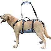Coodeo Dog Lift Harness, Full Body Support & Recovery Sling, Pet Rehabilitation Lifts Vest for Old Dog with Arthritis Walk(Bule,L)