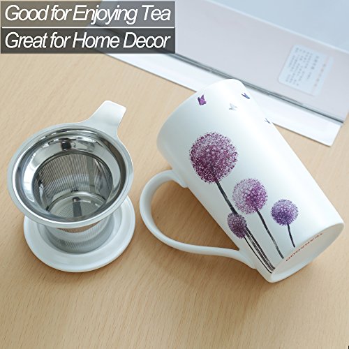 TEANAGOO M58-5 Tea Cup with Filter and Lid, 18 OZ, Dandelion, Dom Dad Women Travel Teaware with Infuser, Tea Cup Steeper Maker, Brewing Strainer for Loose Leaf Tea,Diffuser mug set for Lover Gift