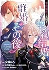 宰相補佐と黒騎士の契約結婚と離婚とその後 ～辺境の地で二人は夫婦をやり直す～ 第1巻
