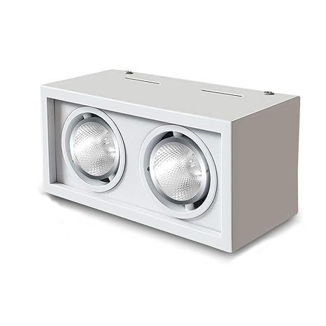 Shaoyh Modern White Cob Spotlights Ceiling Mounted Daring Lamp 10w