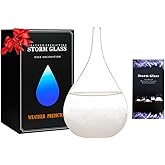 Storm Glass Cool Unusual Gifts Storm Glass Weather Predictor Snow Globes for Adults Galileo Thermometer Indoor Creative Forecast Nordic Style Decorative Weather Gifts
