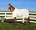TuffRider Comfy MESH Fly Sheet