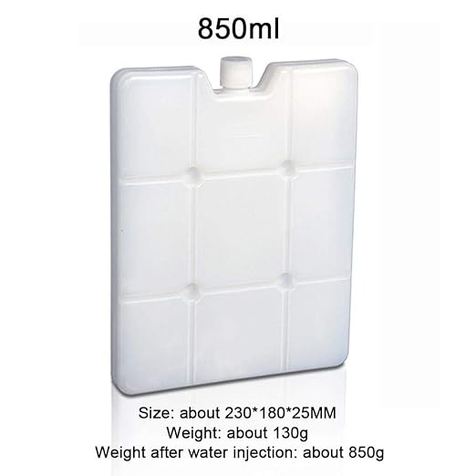 Golden.Y - Nevera Reutilizable para Helados Frescos, acumuladores ...