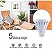 CTKcom LED Light Bulbs(4 Pack)- 9W Emergency Lamps Household Lighting Bulbs for Hurricane,Saving Energy Intelligent Light Rechargable Electricity 65W Equivalent 6500K White Bulbs 120V E26 E27 Base