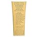 Burt's Bees Avocado Butter Pre-Shampoo Hair Treatment, Sulfate-Free - 4.34 Ounce Bottle