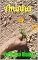 Livro Aninha