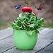 Antallcky 100pcs Butterfly Stakes Outdoor Yard Planter Flower Pot Bed Garden Decor, Butterflies Christmas Decorations, Fairy Garden Accessories Gardening Gifts
