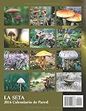 Image de La Seta 2016 Calendario de Pared (Edición España) (Spanish Edition)