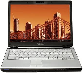 Cavo Jack Alimentazione Per Toshiba Satellite U305, P305 E Simili (Ricambio Nuovo)
