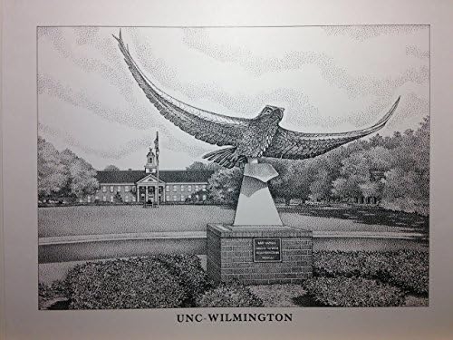 UNC-Wilmington 11"x14" seahawk statue pen and ink print
