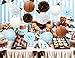 Furuix Teddy Bear Theme Baby Shower Decorations White Brown Blue Tissue Pom Pom Paper Lanterns Teddy Bear Theme Birthday Party Decorations