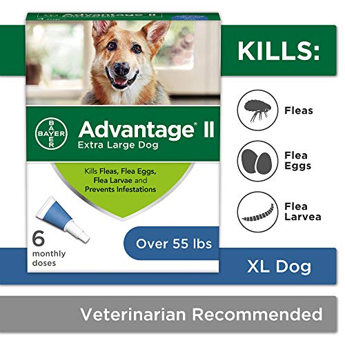 Flea and Lice Treatment for Dogs, Over 55 lb, 6 doses, Advantage II