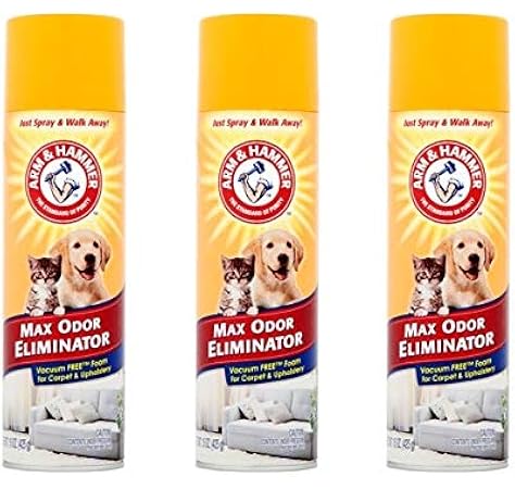 Amazon Com Arm Hammer Max Odor Eliminator Vacuum Free Foam For Carpet And Upholstery 15 Oz Pack Of 3 Industrial Scientific