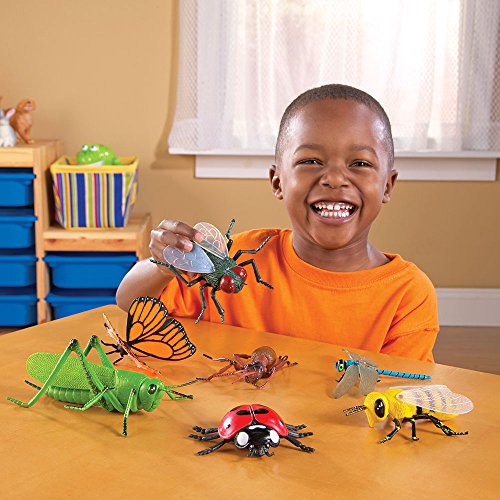 Learning Resources Jumbo Insects, 7-Insects