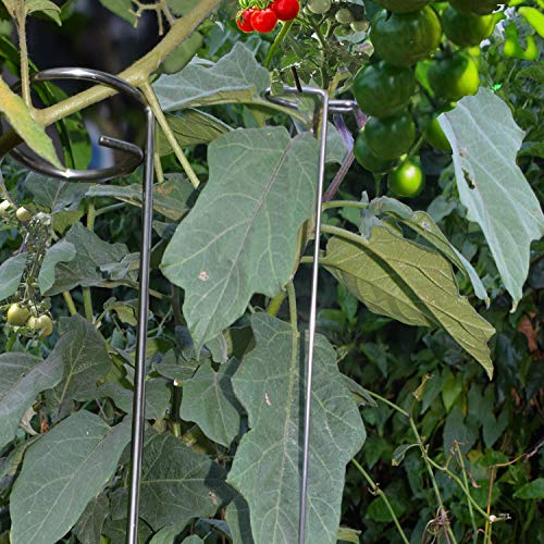 30 Inch Plant Stakes for Flowers 5 Pack (DIY), Stainless Steel Garden