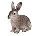 Schleich Wild Rabbit Toy Figure